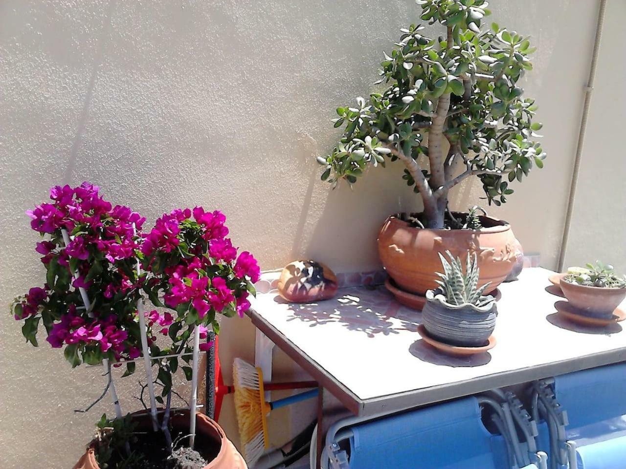 Park House -Beside The Medieval Town Of Rhodes Rhodes City Esterno foto
